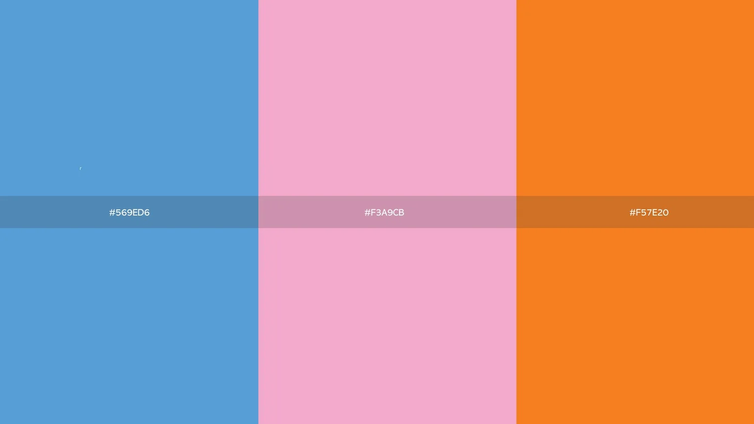 brand & co brand colour palette, blue, pink, and orange
