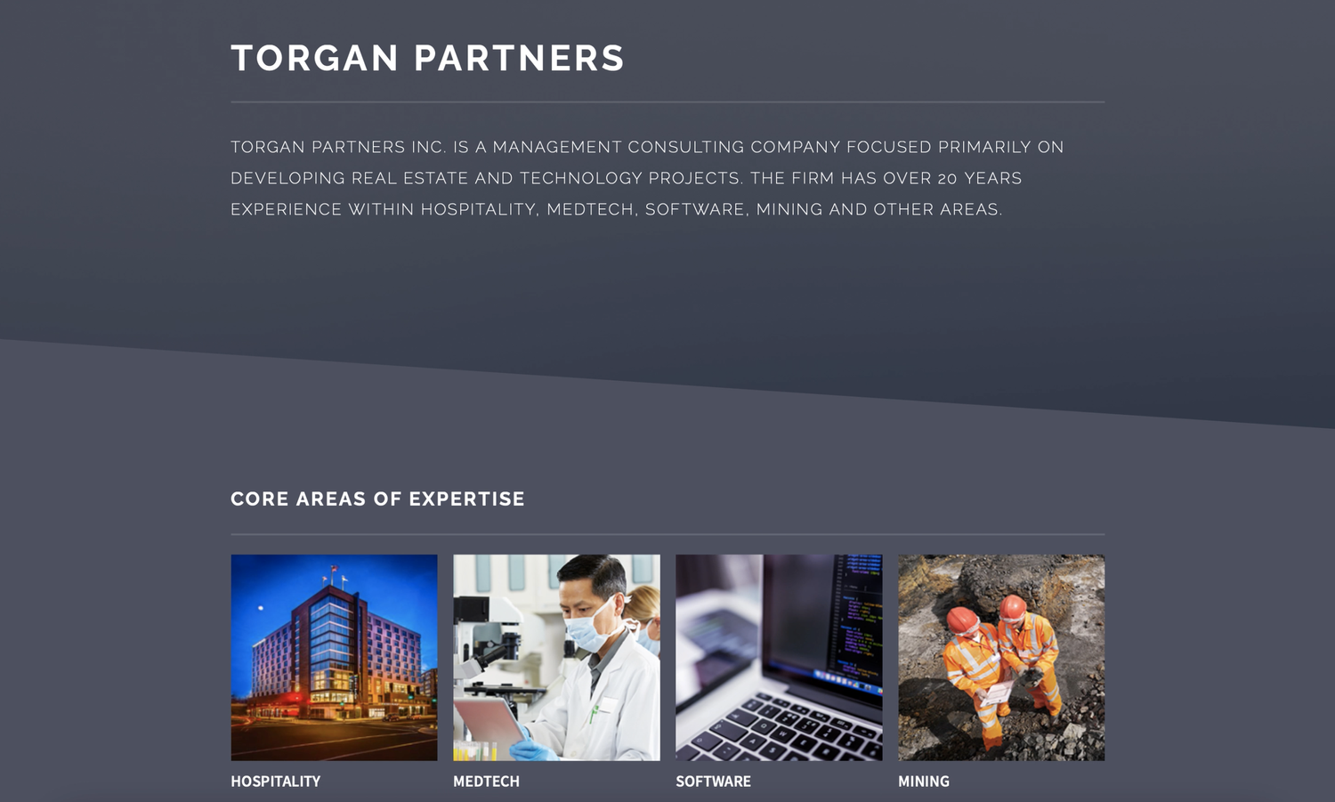 the original torgan partners site, dark navy background, core areas of expertise