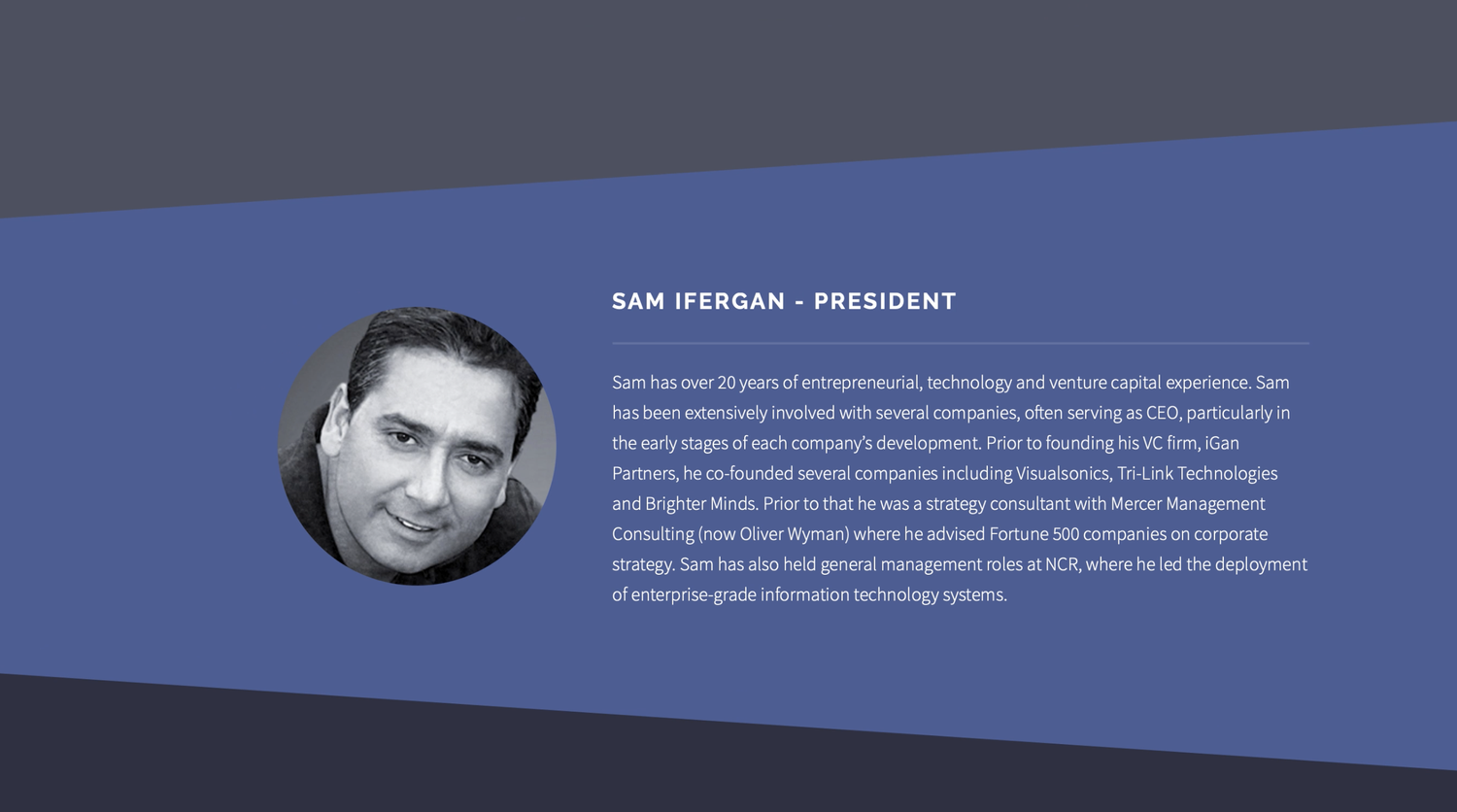 the original torgan partners site, president bio section